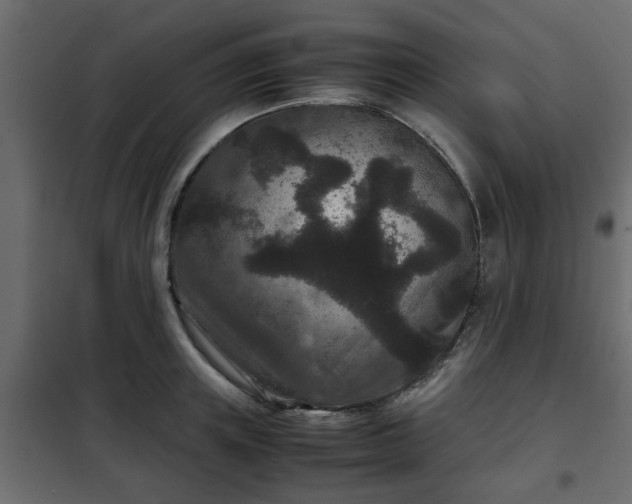 X0000102340851200808081129