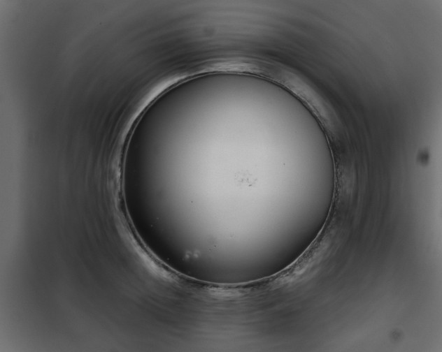 X0000102340852200808081129