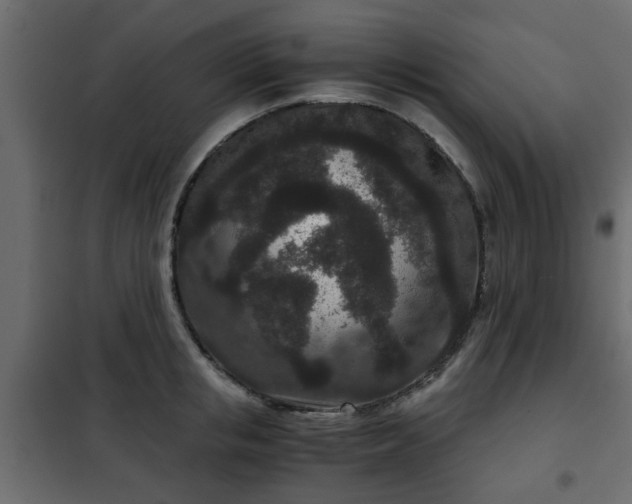 X0000102340853200808081129