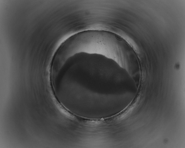 X0000102340854200808081129