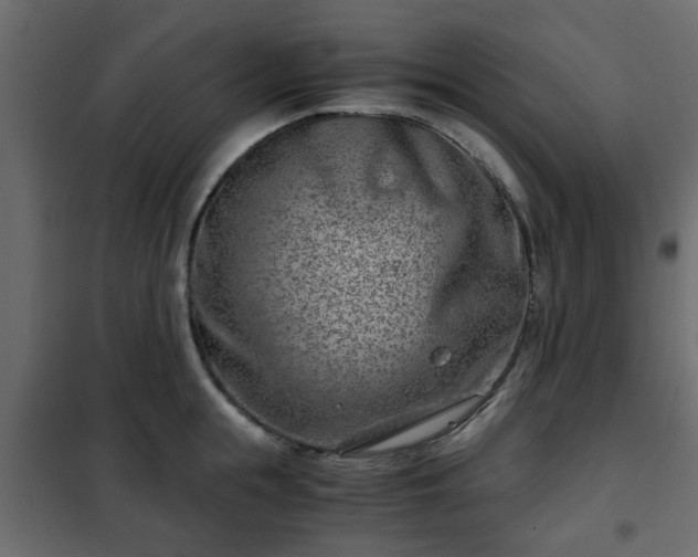 X0000102340855200808081129