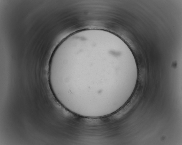 X0000102340856200808081129