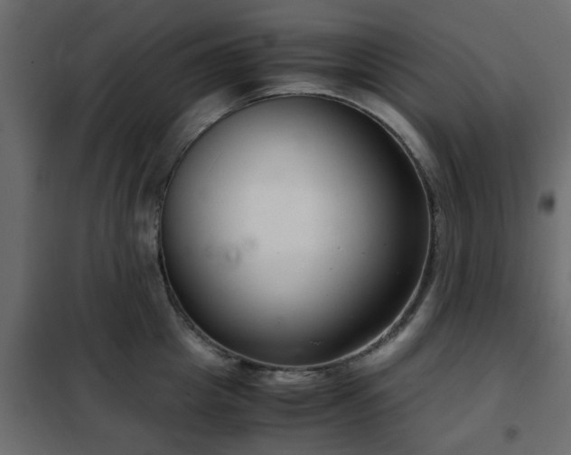 X0000102340857200808081129