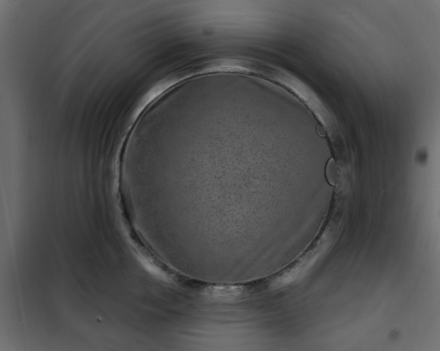 X0000102340858200808081129