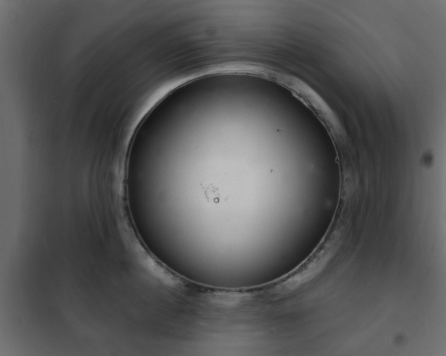 X0000102340860200808081129