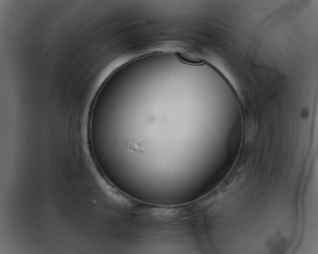 X0000102340861200808081129