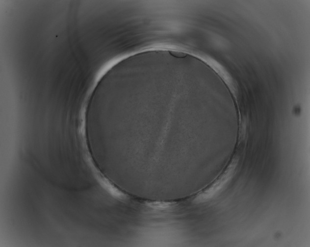 X0000102340862200808081129