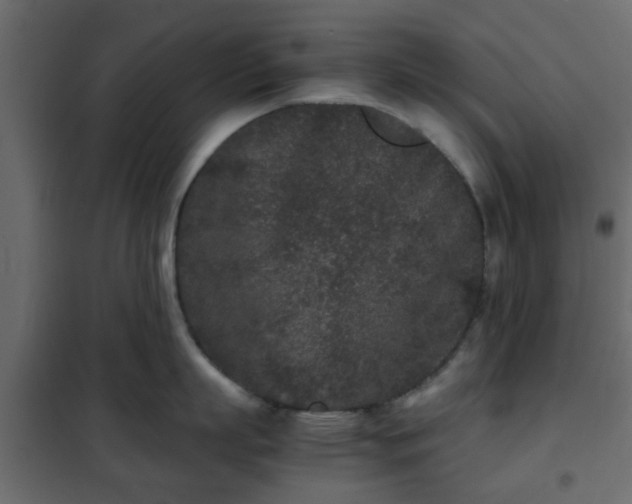 X0000102340863200808081129