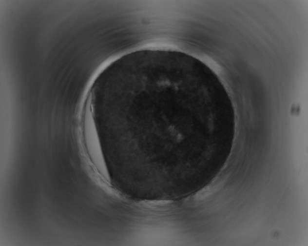 X0000102340864200808081129