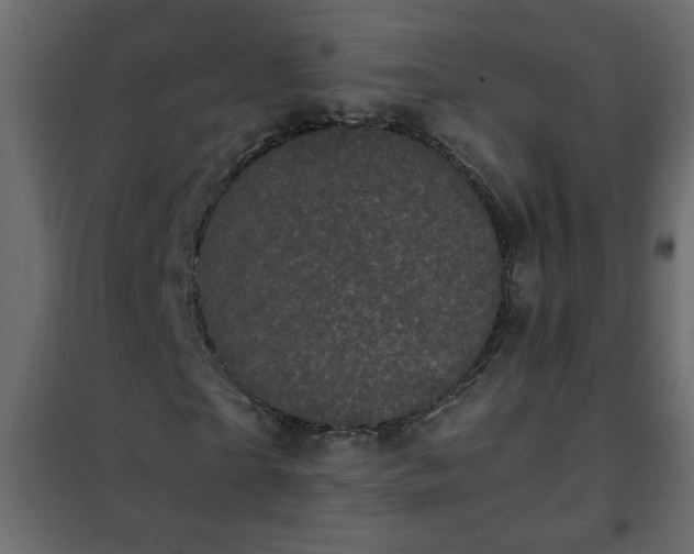 X0000102340865200808081128