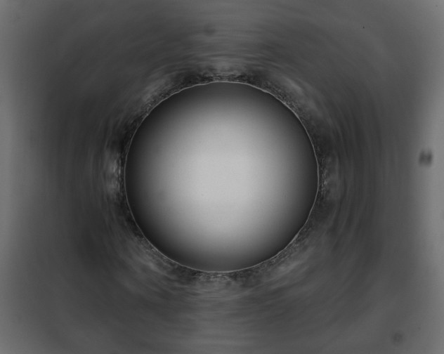 X0000102340866200808081128