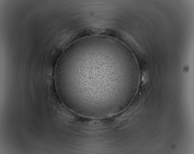 X0000102340867200808081128