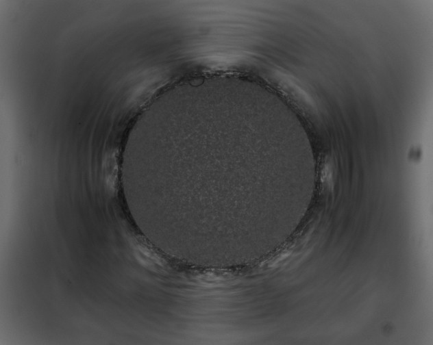 X0000102340868200808081128