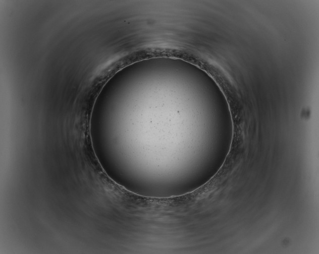 X0000102340870200808081128