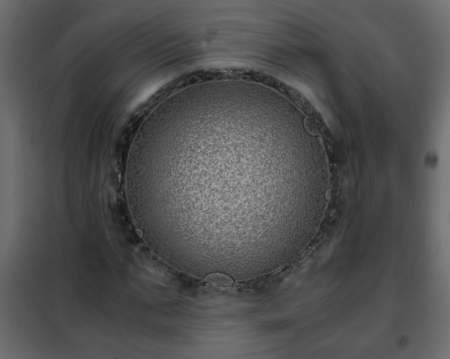 X0000102340871200808081128