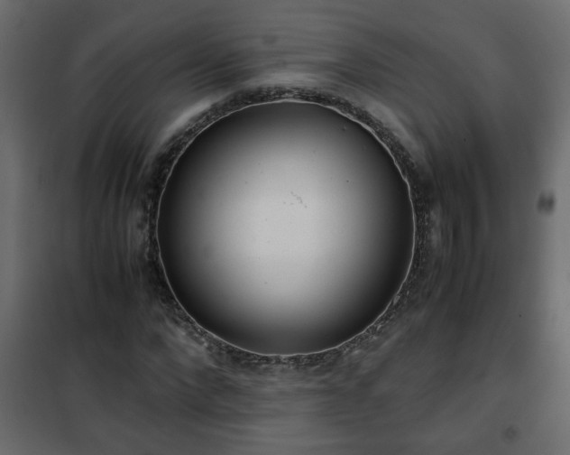 X0000102340872200808081128