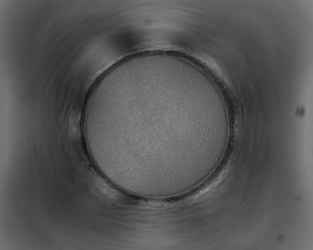 X0000102340873200808081128