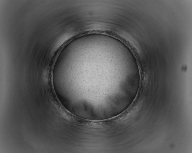 X0000102340874200808081128