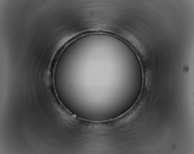 X0000102340876200808081128