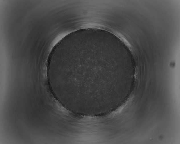 X0000102340877200808081128