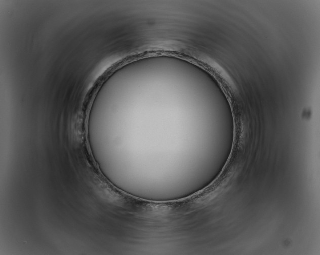 X0000102340878200808081128