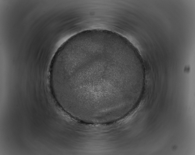 X0000102340879200808081128