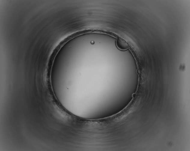 X0000102340880200808081128