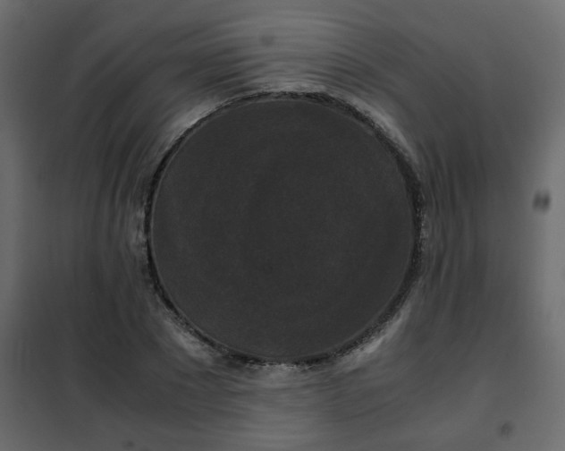 X0000102340881200808081128