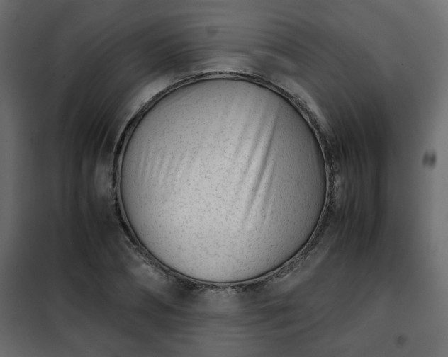 X0000102340882200808081128