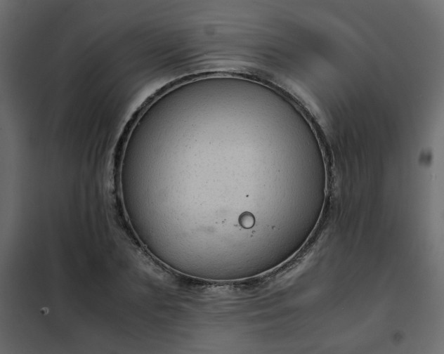 X0000102340883200808081128