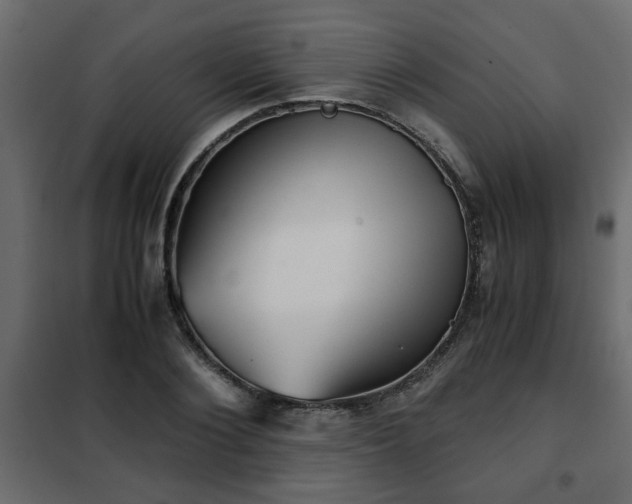 X0000102340884200808081128