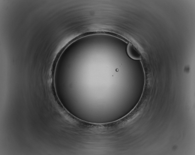 X0000102340885200808081128