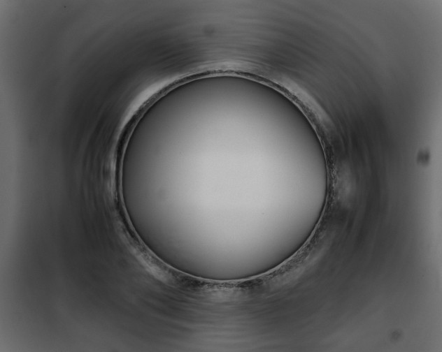 X0000102340886200808081128