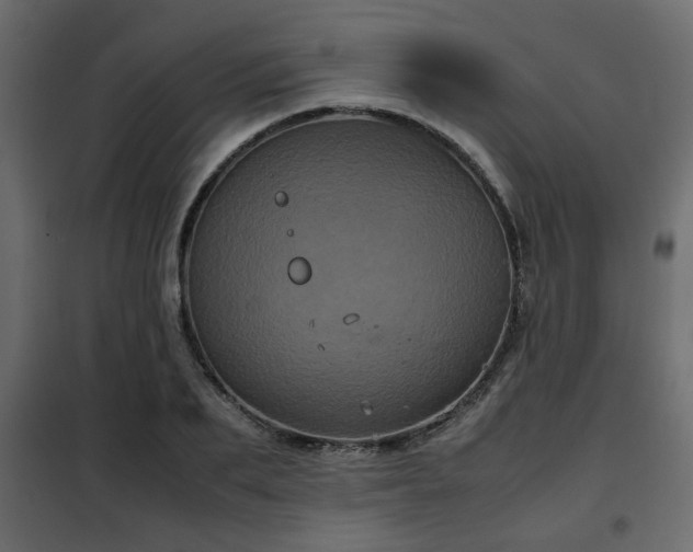 X0000102340887200808081128