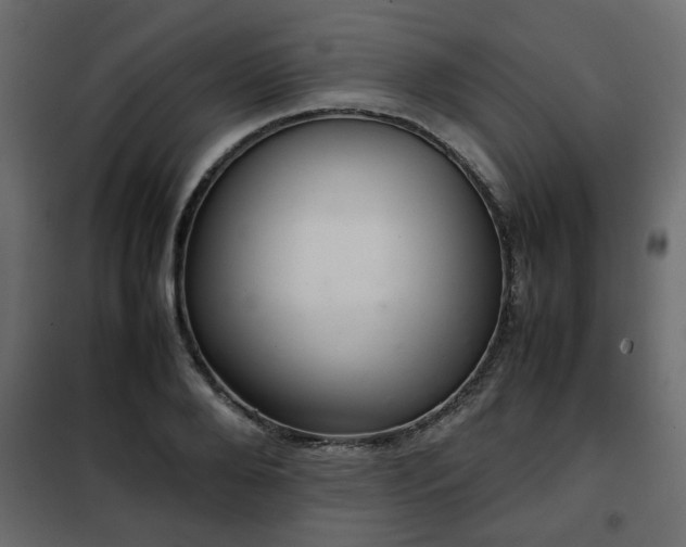 X0000102340888200808081128