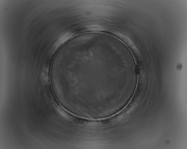 X0000102340889200808081128