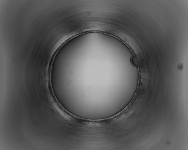 X0000102340890200808081128