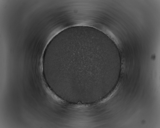 X0000102340892200808081128