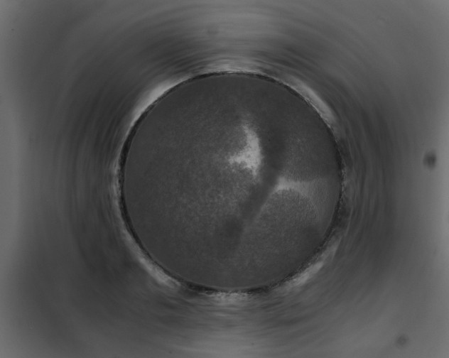 X0000102340893200808081128