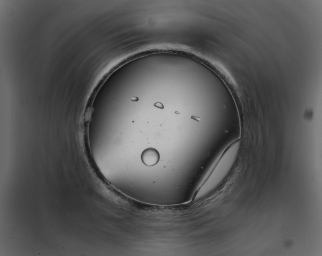 X0000102340895200808081128