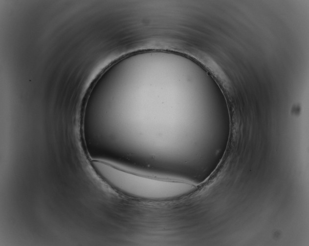 X0000102340896200808081128