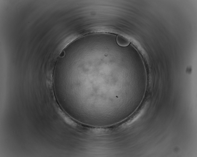 X0000102340897200808081128