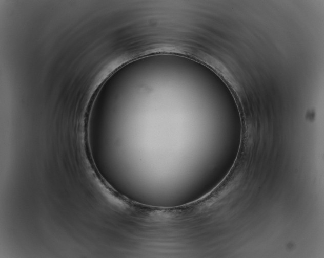 X0000102340898200808081128