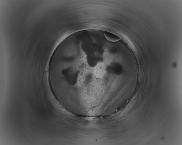 X0000102340899200808081128