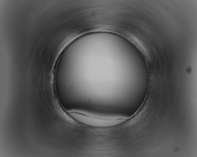 X0000102340900200808081128