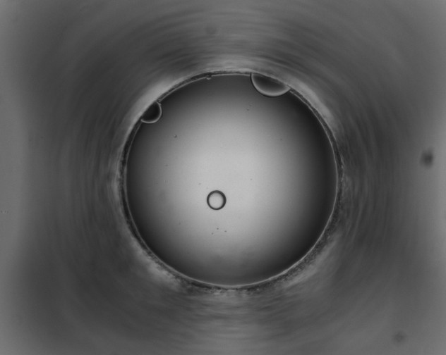 X0000102340901200808081128