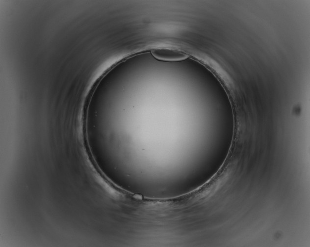 X0000102340902200808081128