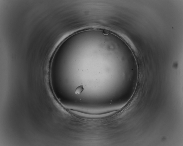 X0000102340903200808081128