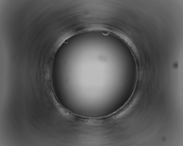 X0000102340905200808081128