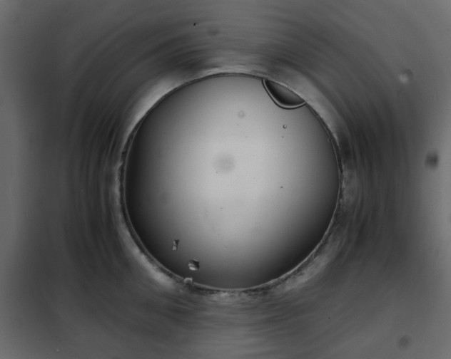 X0000102340906200808081128